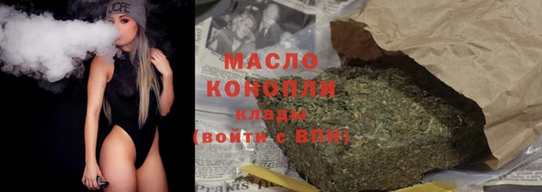 соль ск Ельня