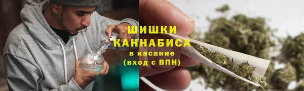прущие крисы Арсеньев