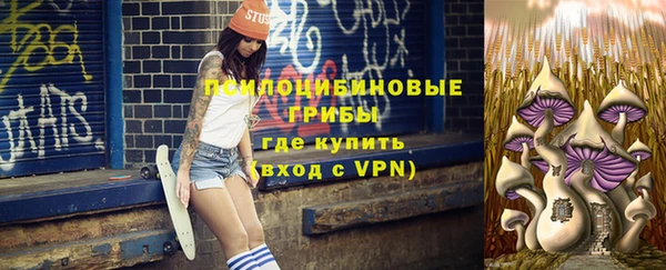PSILOCYBIN Аркадак