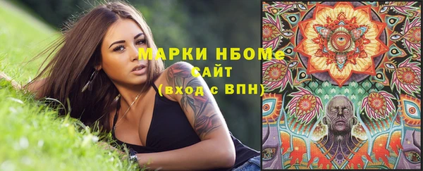 PSILOCYBIN Аркадак