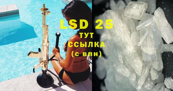 PSILOCYBIN Аркадак