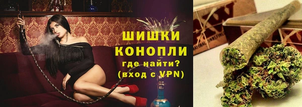 PSILOCYBIN Аркадак