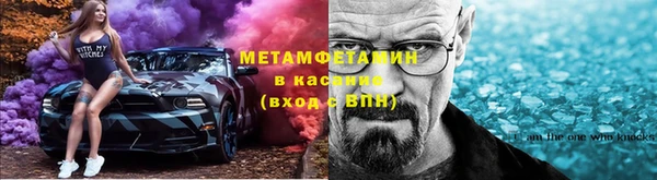 PSILOCYBIN Аркадак