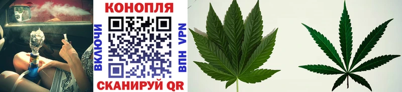 Шишки марихуана OG Kush  цена наркотик  Струнино 